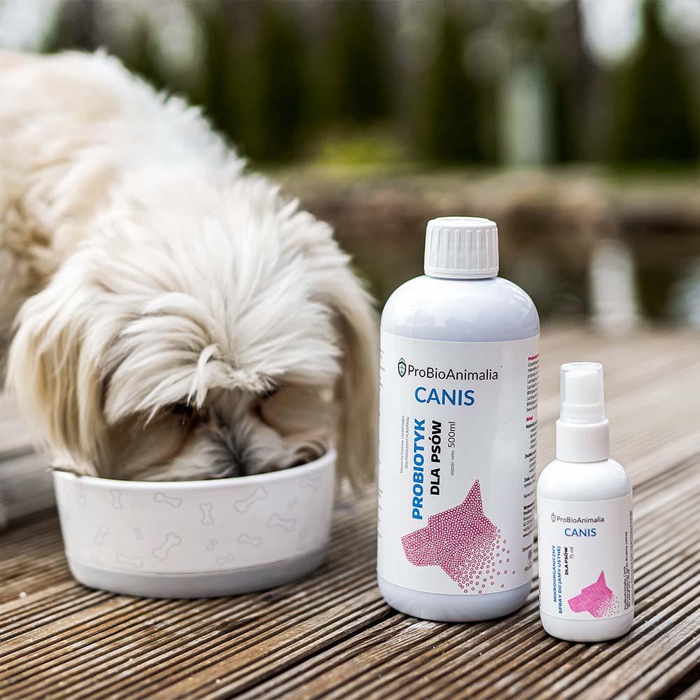 mikroorganiczna szampon dla psów